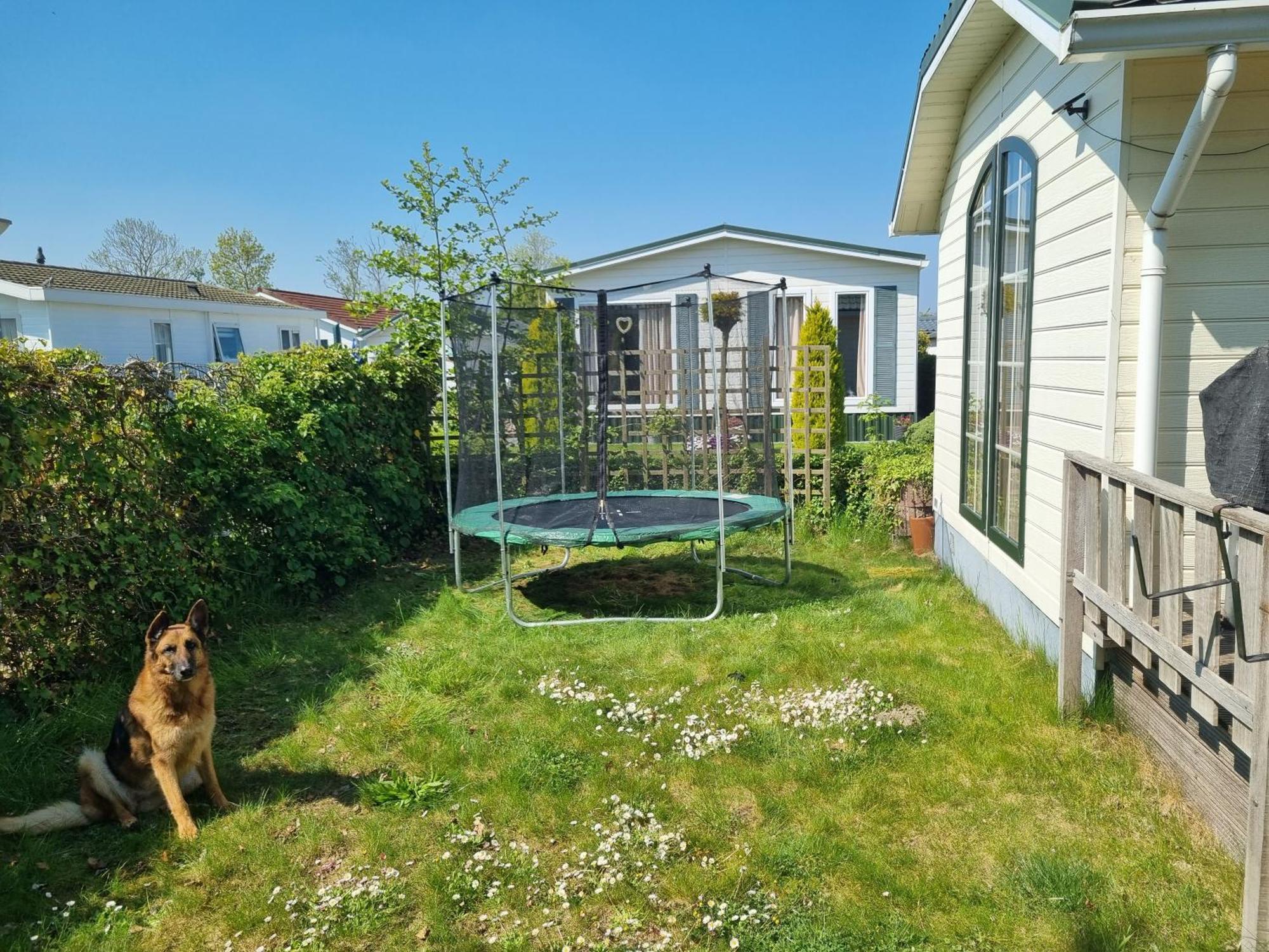 סינט אנלנד Vakantiehuis In Zeeland חדר תמונה